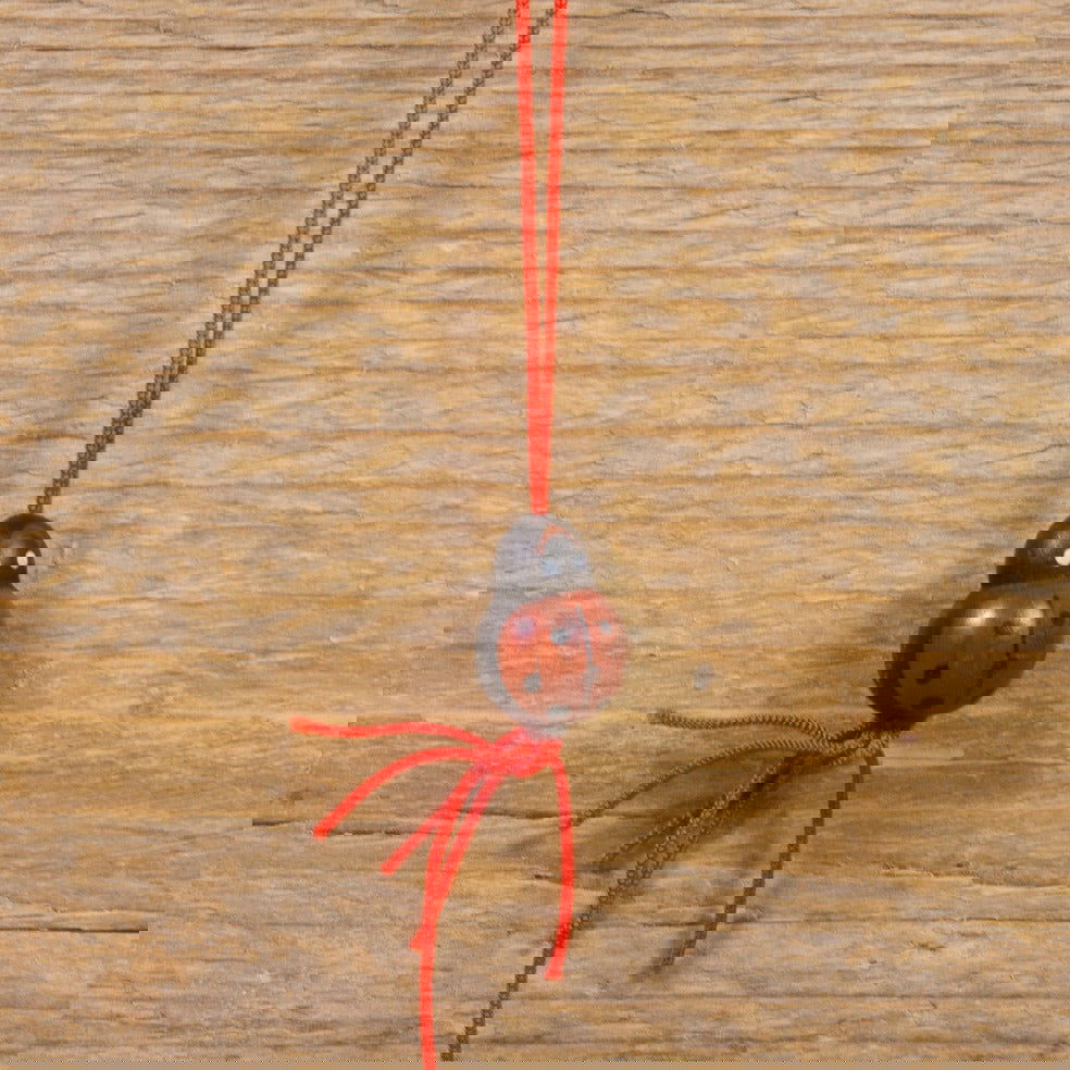 Gelukshanger Lieveheersbeestje - Kadopapier.net