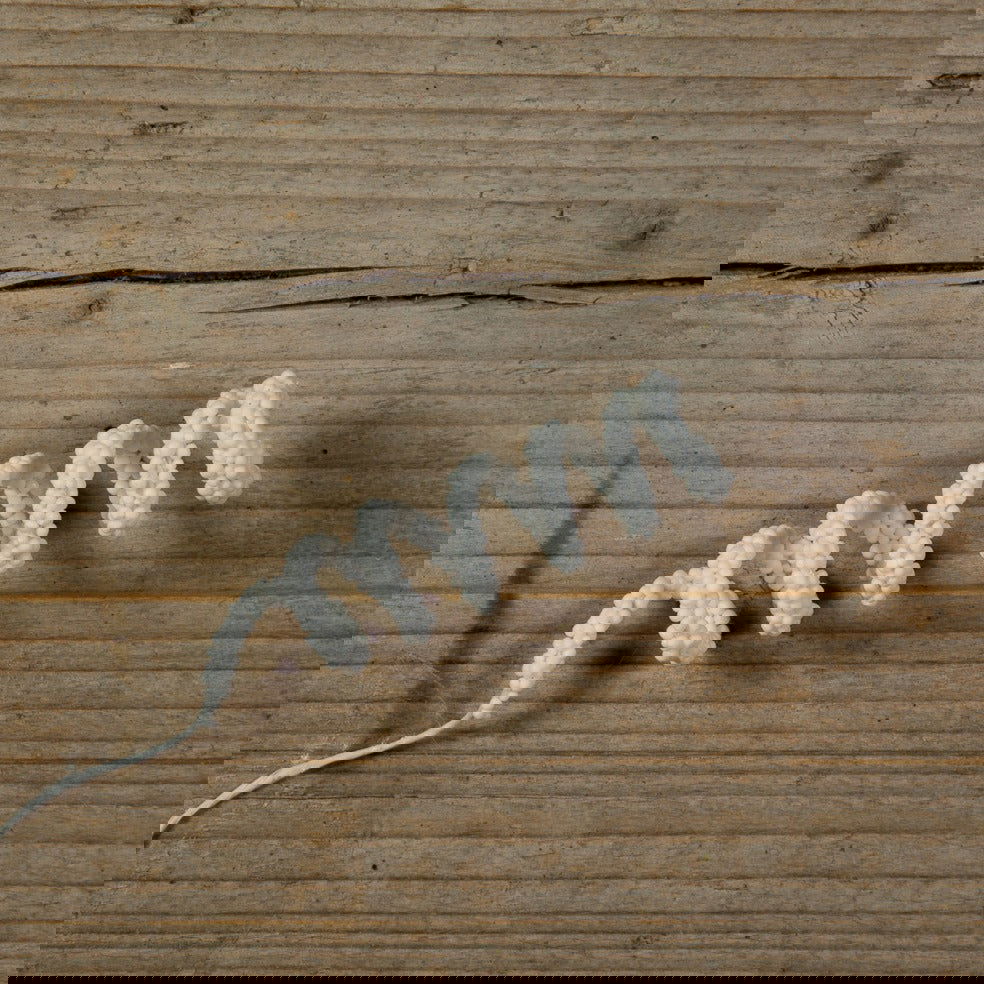 Kadodecoratie Curls pins Wit - Kadopapier.net