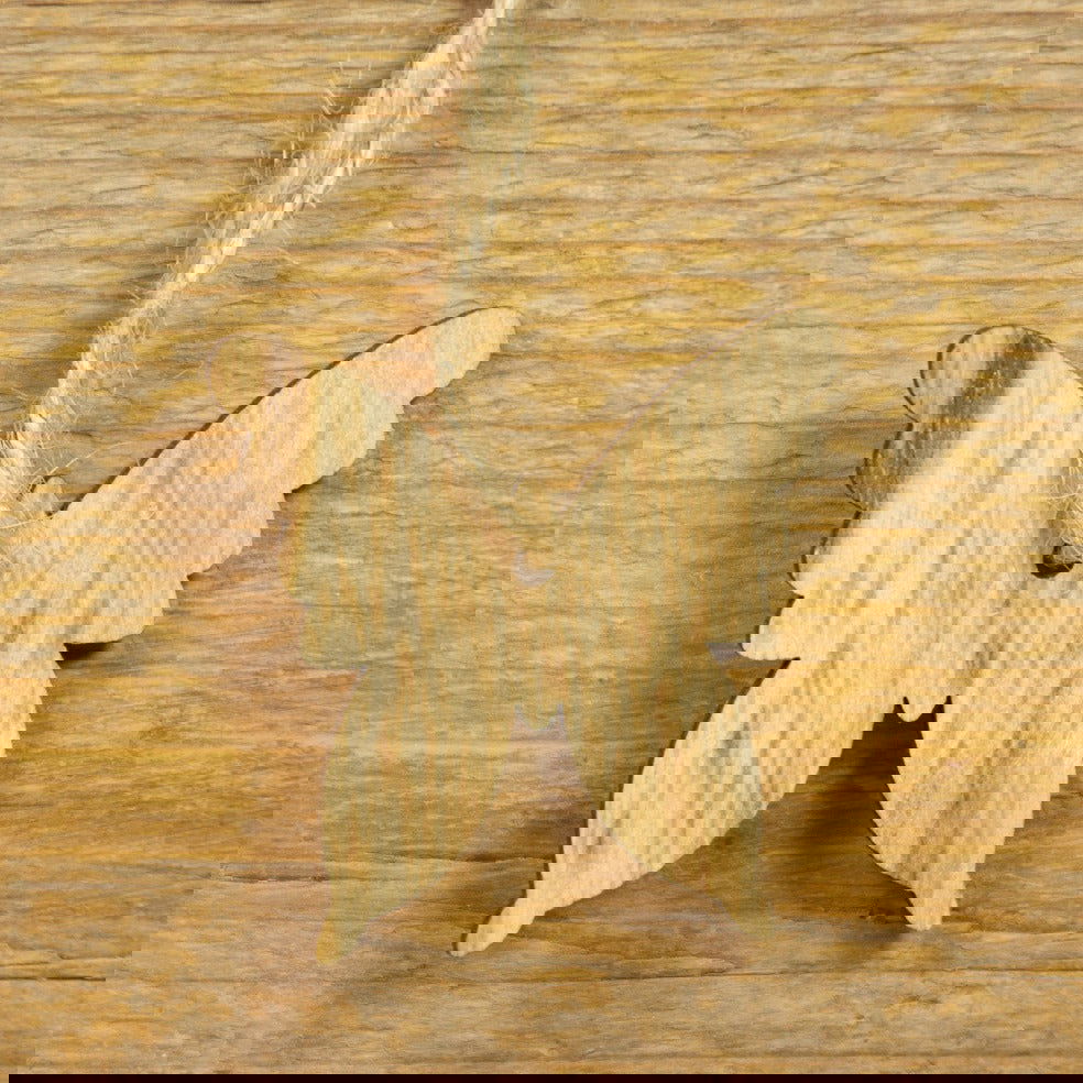 Kadohanger houten Vlinder - Kadopapier.net