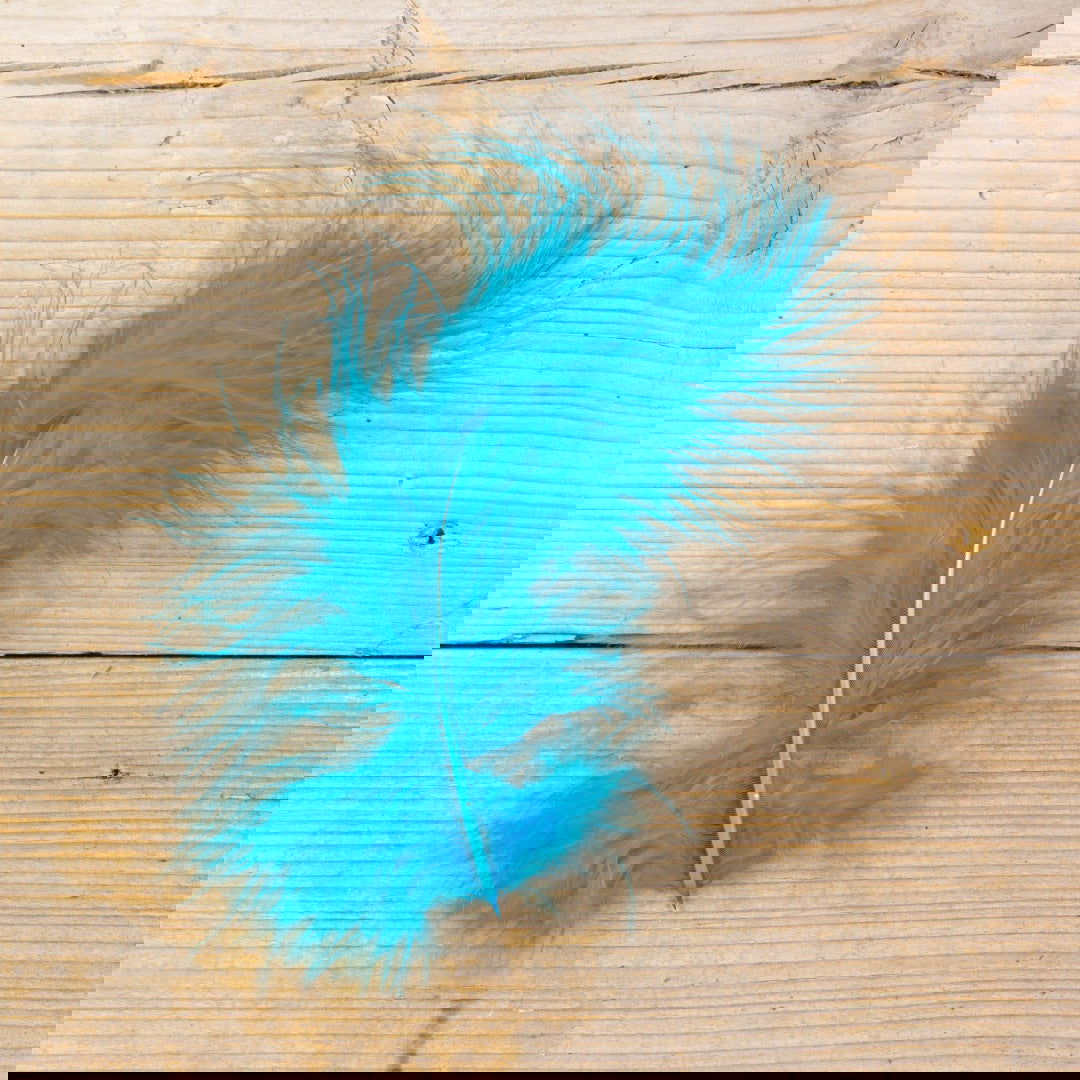 Marabou Decoratieveren Turquoise - Kadopapier.net