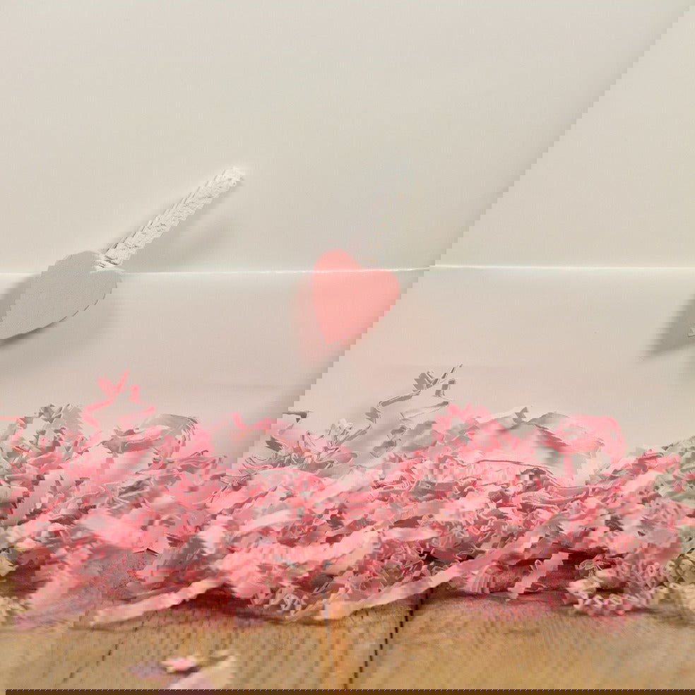 Mini Knijpertjes met Hart Roze - Kadopapier.net