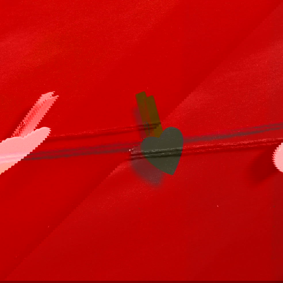 Mini Knijpertjes met Hart Wit - Kadopapier.net