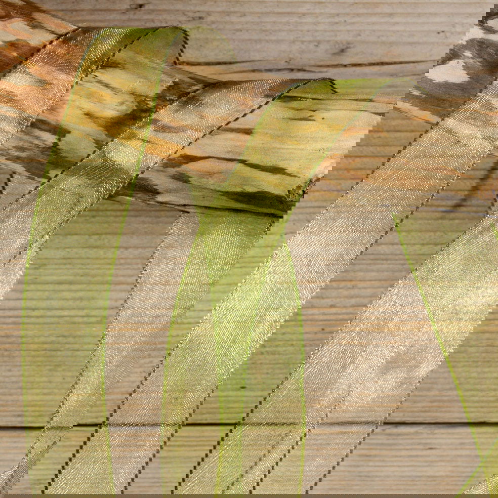 Wired organzalint Kiwi - Kadopapier.net