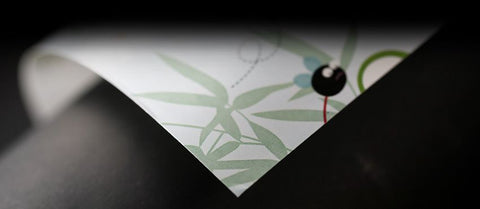 Kikkerpret Inpakpapier – Springerig en Vrolijk