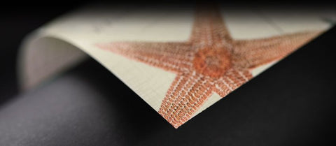 Marine Life Inpakpapier – Onderwater Avontuur