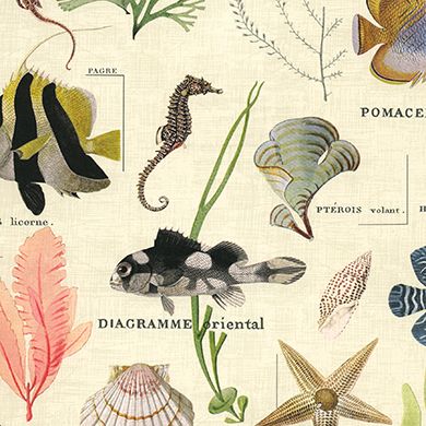 Marine Life Inpakpapier – Onderwater Avontuur