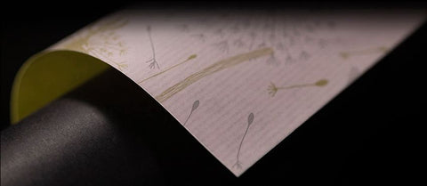 Varenna Pastel Rosé Wrapping Paper – Stylish Gift Wrapping