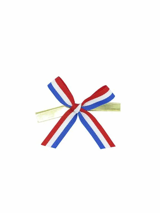 PH PandaHall 2 stuks boog schoenclips, satijnen schoenclips elegante schoenen gespen clip op afneembare schoenen gesp strik decoratie voor vrouwen PH PandaHall 2 stuks boog schoenclips, satijnen schoenclips elegante schoenen gespen clip op afneembare schoenen gesp strik decoratie voor vrouwen