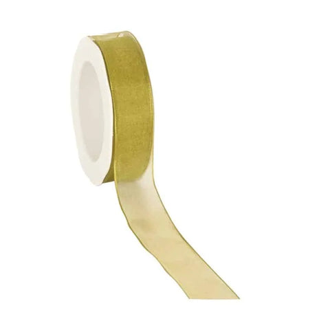 Wired organza ribbon Kiwi